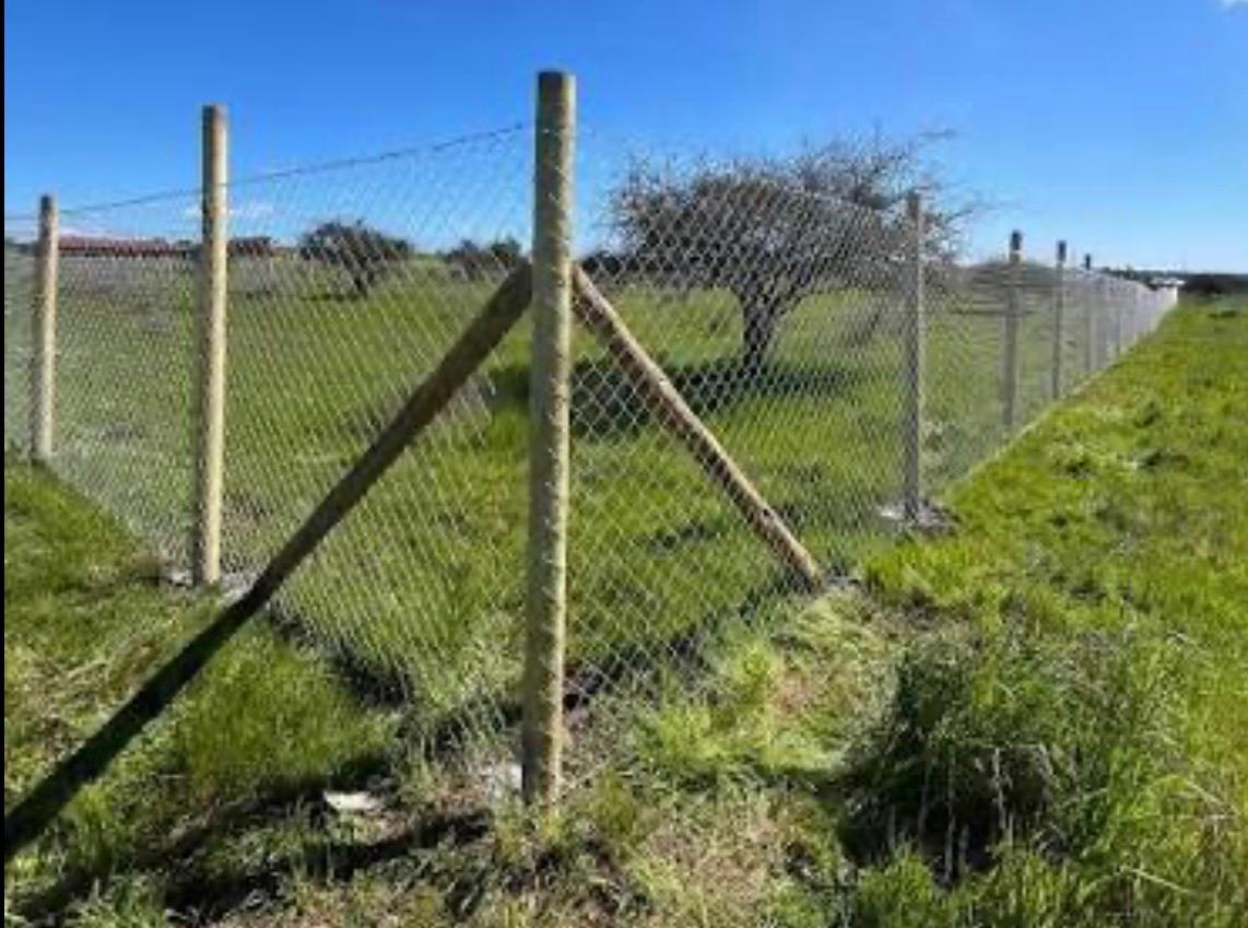 Cierre de malla romboidal con postes de madera en terreno con pasto